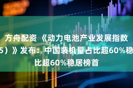 方舟配资 《动力电池产业发展指数（2025）》发布：中国装机量占比超60%稳居榜首